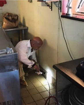 Exterminator inspecting