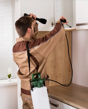 Exterminator inspecting, residential pest control